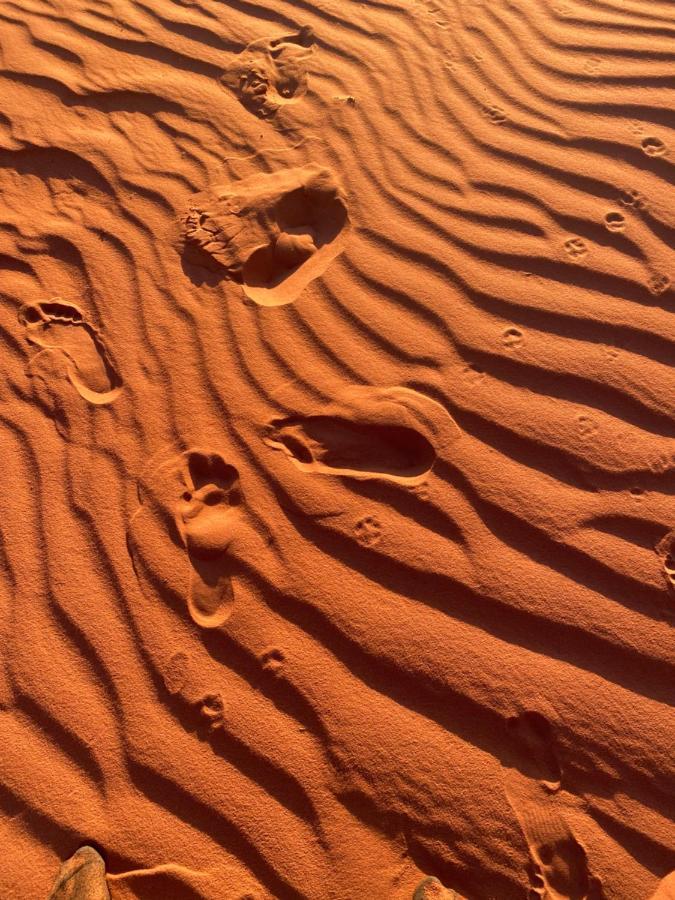 Wadi Rum Silk Road Camp Экстерьер фото