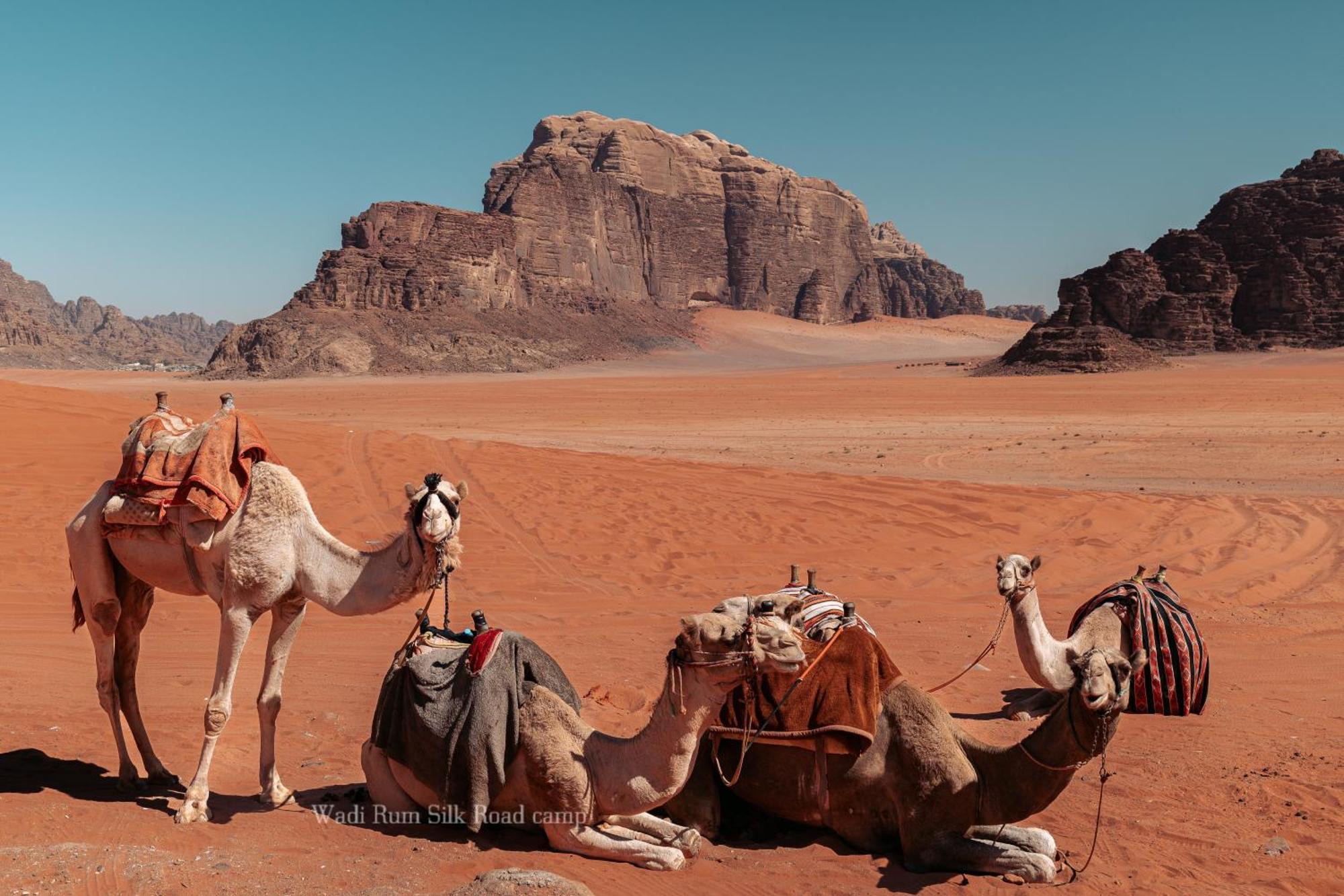 Wadi Rum Silk Road Camp Экстерьер фото
