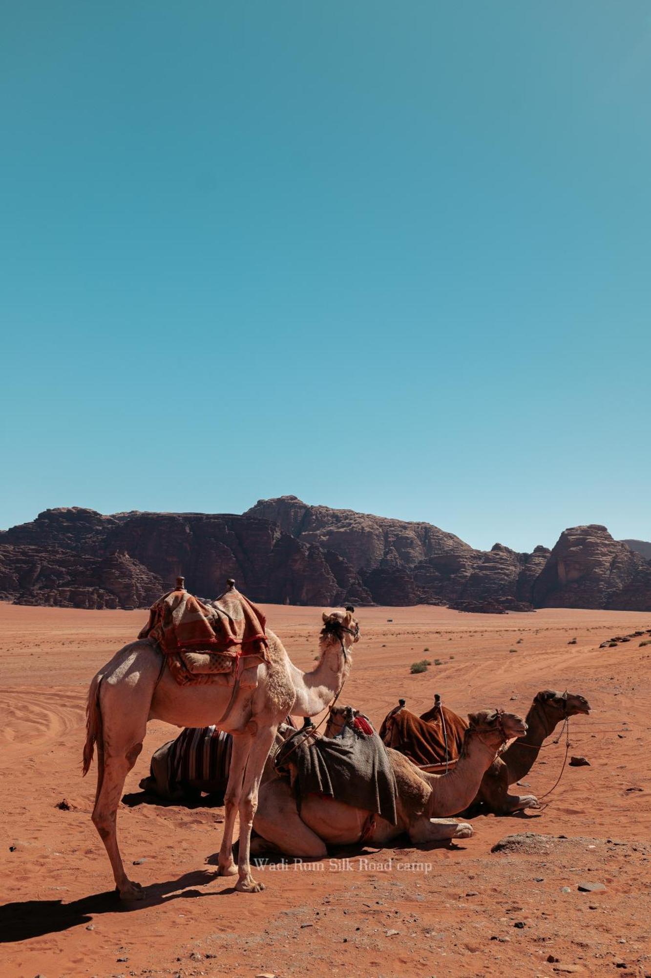 Wadi Rum Silk Road Camp Экстерьер фото